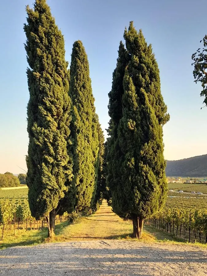 Bed and breakfast B&B La Valluna Erbusco Italia